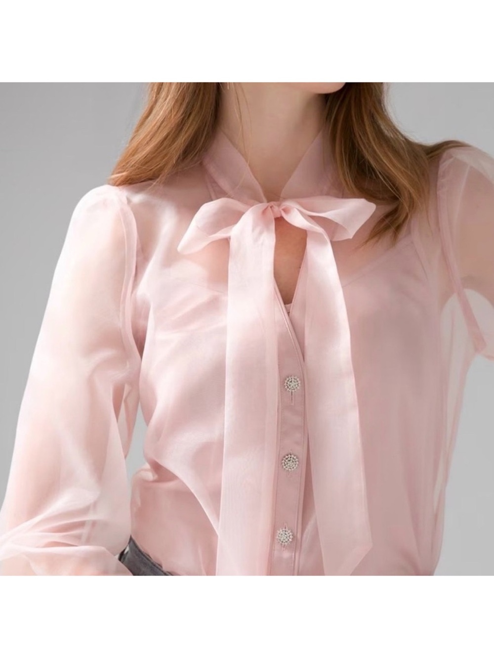 Light Pink Sheer Tie Bow Neck Blouse